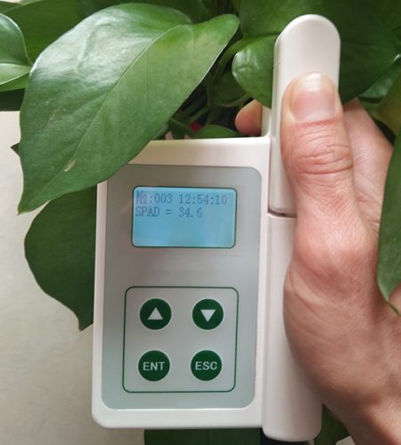 Portable Leaf Chlorophyll Meter